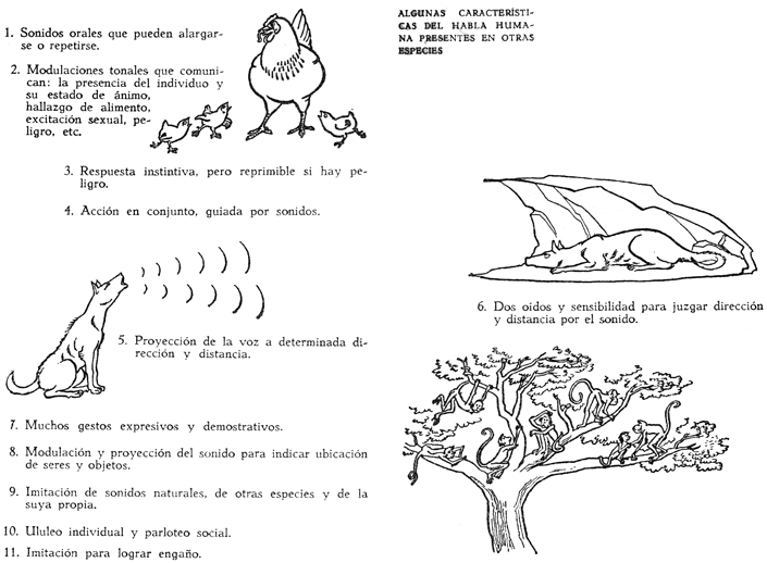 Características del habla humana presentes en otras especies. Ejemplos animales